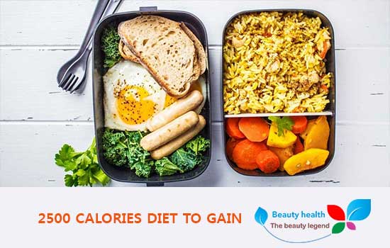 2500 calories diet to gain weight