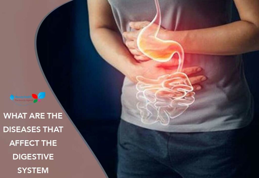 What Are The Diseases That Affect The Digestive System 6 Important Points