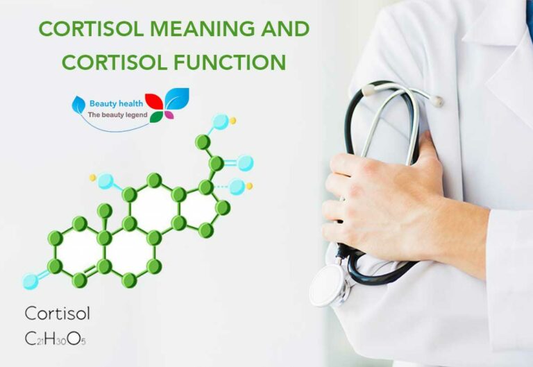 Cortisol Meaning And Cortisol Function 768x529 