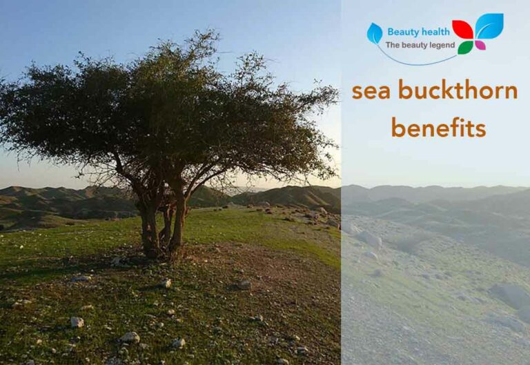 sea buckthorn benefits