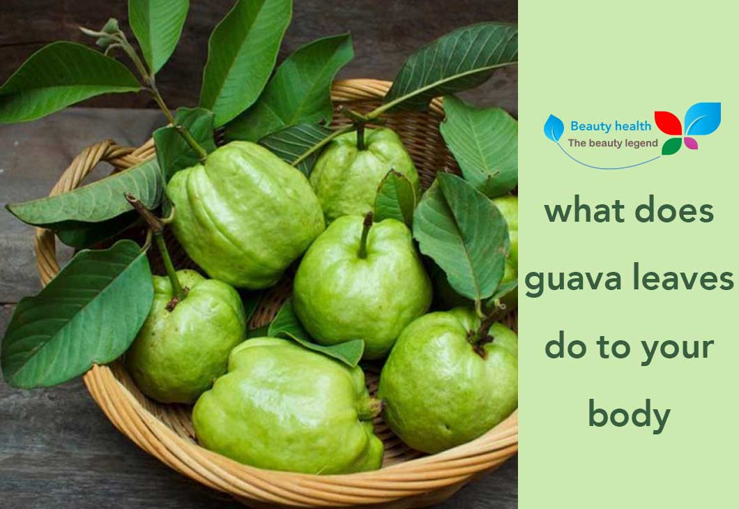 guava leaves benefits