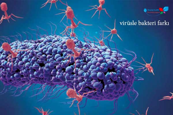 virüsle bakteri farkı