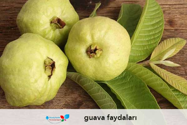 guava faydaları