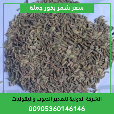 fennel seeds wholesale price