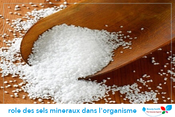 role des sels mineraux dans l’organisme