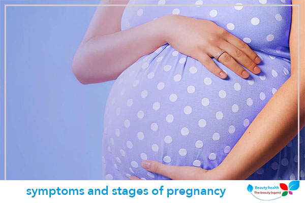 symptoms and stages of pregnancy