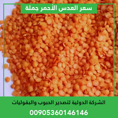 red lentils wholesale price