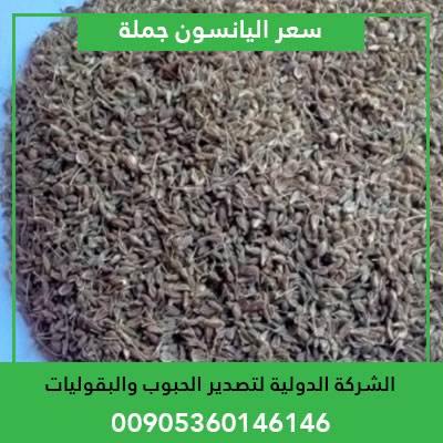 wholesale price of anise