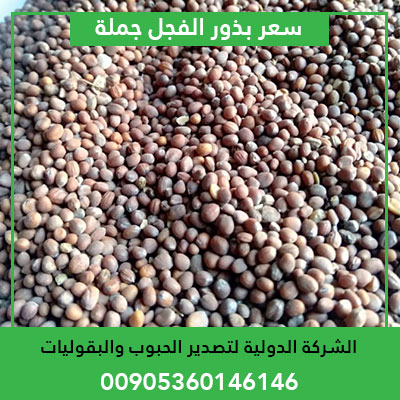 radish seeds wholesale price