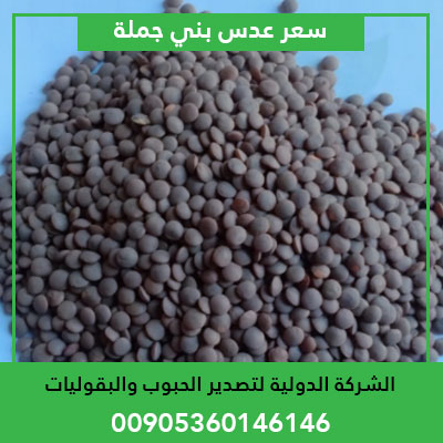 wholesale brown lentils price