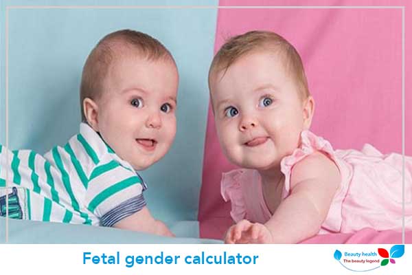 Fetal gender calculator