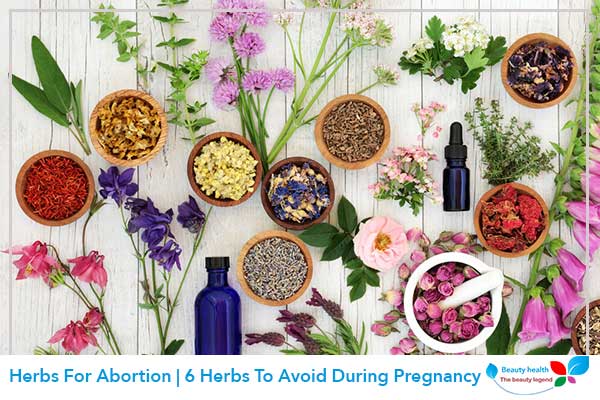 Herbs For Abortion | 6 Herbs To Avoid During Pregnancy