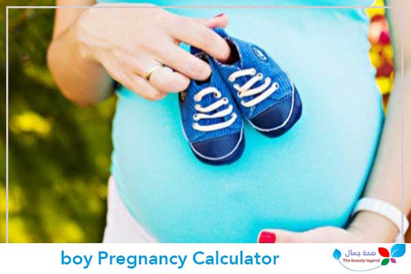 boy Pregnancy Calculator