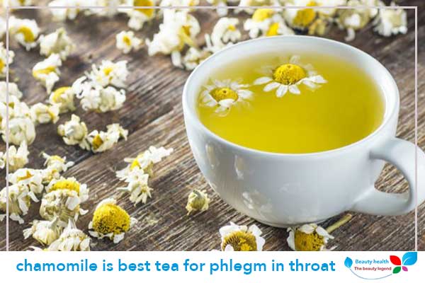 chamomile is best tea for phlegm in throat
