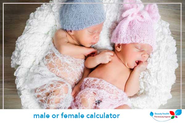 male or female calculator