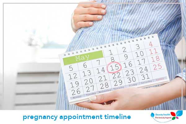 pregnancy appointment timeline