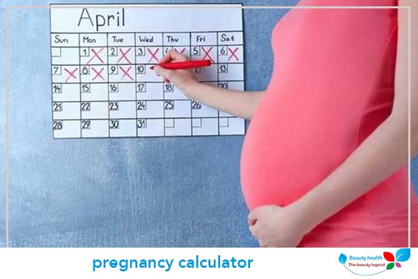 pregnancy calculator 