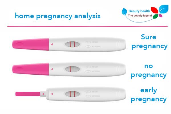 pregnancy analysis