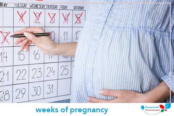 weeks of pregnancy