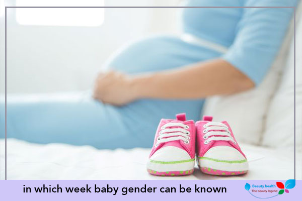in which week baby gender can be known