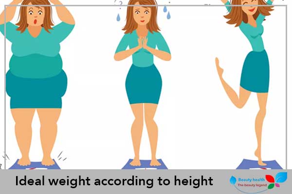 Ideal weight according to height