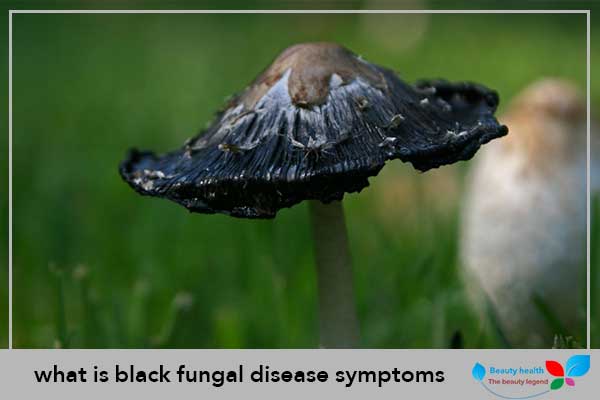 What Is Black Fungal Disease Symptoms Health Beauty
