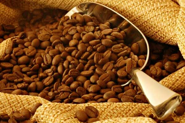 شركات استيراد القهوة من البرازيل - أفخر أنواع البن البرازيلي