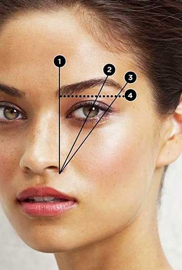 Understanding Drooping Eyebrows