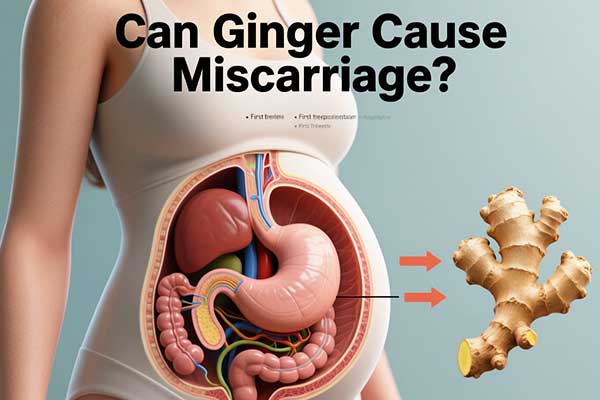 Can Ginger Cause Miscarriage